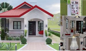 2 Bedrooms Bungalow House Design in 6 x 10 M ~ Homlovely.com