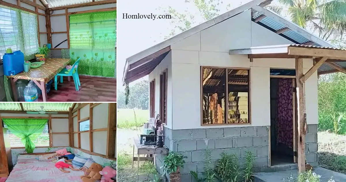 Half Concrete Half Polywood Small House Design Ideas ~ Homlovely.com