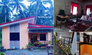 Simple Small House Design in Full Facilities ~ Homlovely.com