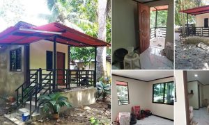 Tiny House that Can Build Fastly + Estimated Cost ~ Homlovely.com