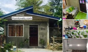 Budget Friendly Small House Design For Small Family ~ Homlovely.com
