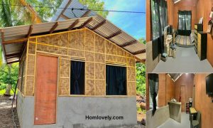 Only 11 Days - Humble Amakan House Design 16 x 17 ft ~ Homlovely.com