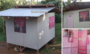 Cheap But Cozy Tiny House From Plywood ~ Homlovely.com