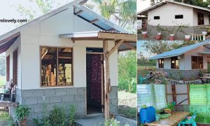 Simple House Design Easy to Copy ~ Homlovely.com