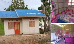 Super Ganda Affordable Budget Small House (Half Plywood) ~ Homlovely.com