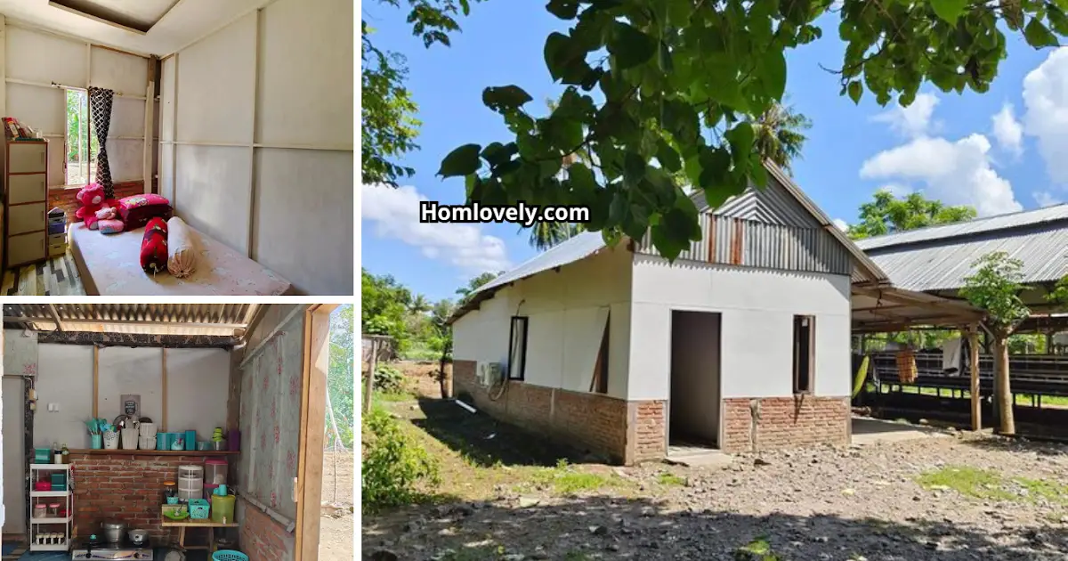 Liveable Simple Half-Plywood House Super Economical ~ Homlovely.com