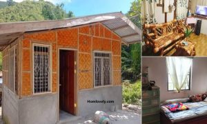 Amazing 300K Small Amakan House 2Br 1Cr