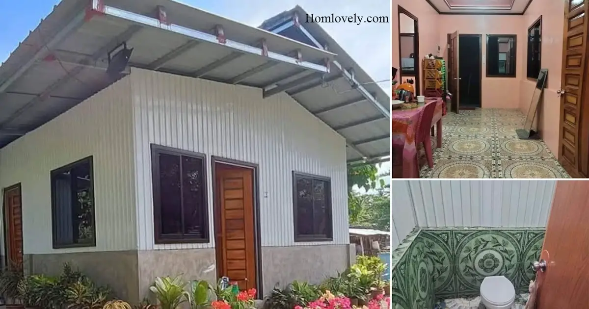 Beautiful Small House Cladding Only 300K ~ Homlovely.com