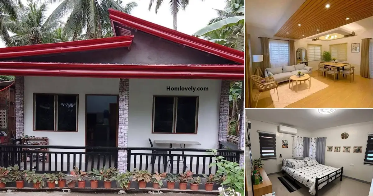 Best Style of Small But Modern House Design (Budget-Friendly) ~ Homlovely.com