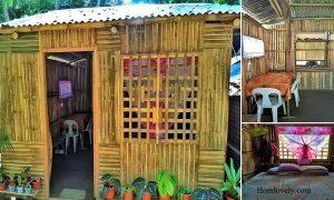 Tiny Bahay Design With Bamboo Materials ~ Homlovely.com
