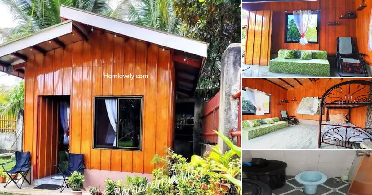 100K Natural Cladding Tiny House Design ~ Homlovely.com