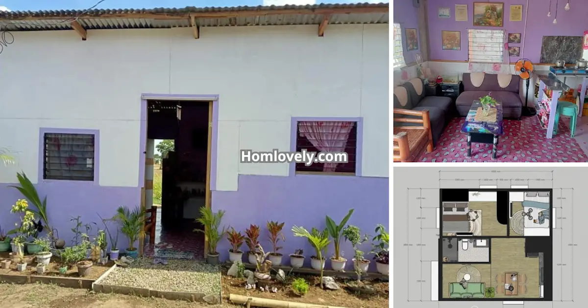 Cheap & Cute Purple Home Idea (Low-Budget Half-Hardiflex) ~ Homlovely.com