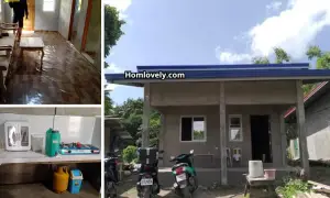 Simple Concrete Pinoy House 2 BR (₱500K Budget) ~ Homlovely.com