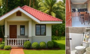 Hardiflex House Ideas for Low Cost ~ Homlovely.com