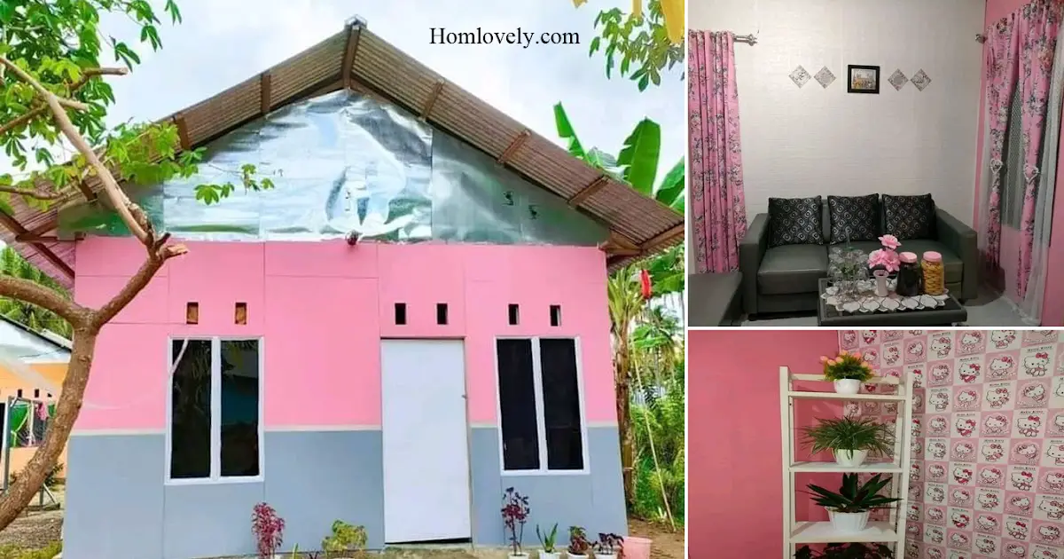Minimum Budget Tiny House With Pink Looks ~ Homlovely.com