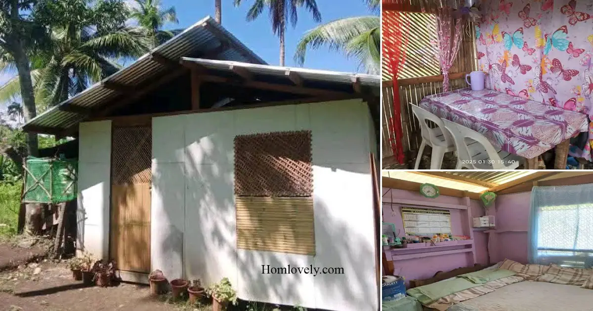 Tiny Bahay Design Ideas With Plywood Materials ~ Homlovely.com